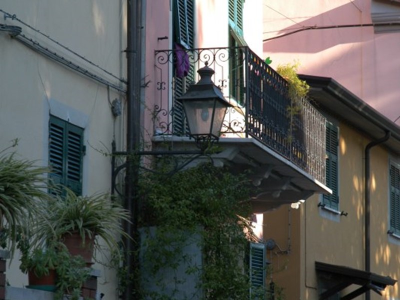 SARZANA